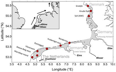 Wadden Sea Eutrophication: Long-Term Trends and Regional Differences
